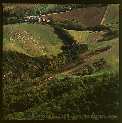 Green Italian Hills