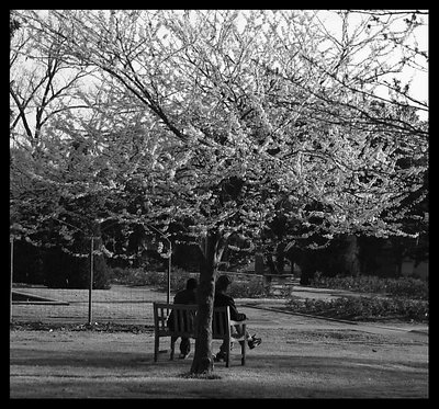 Father and Son BW