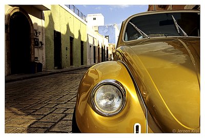 Mexican Beetle