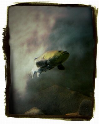 Holga and Amelie in underwater world!