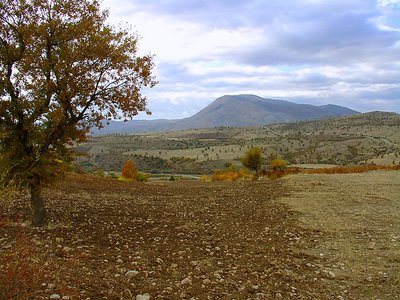 Mount Nemrud 