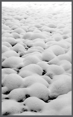 Snow Bubbles