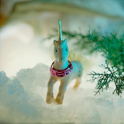 unicorns - winter