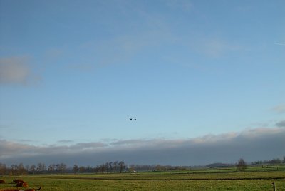 dutch landscape