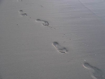 Footprints in the Sand