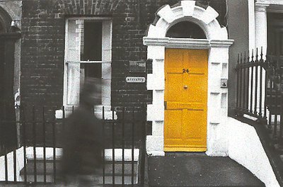 24,yellow door in Dublin