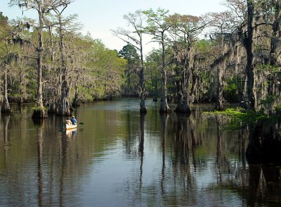 canoe