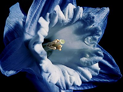 Shades of blue 2