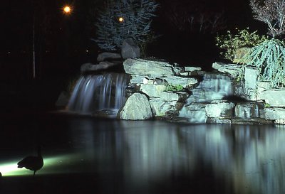 Night Pond...