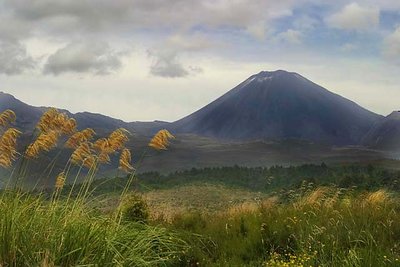 Mt. Narajoe New Zealand