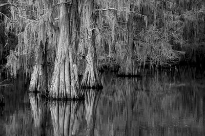 Caddo Lake