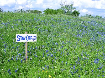 Stay Off the Flowers!