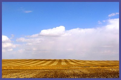 Sunny Brake on the Prairie II 