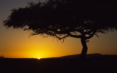 Sunrise Over Masai Mara