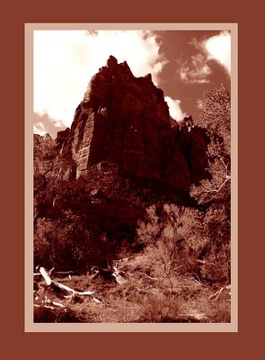 Virgin River Bed