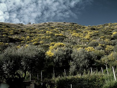 Capo Miseno, Naples Italy