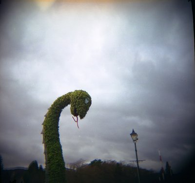 Holga Nessie