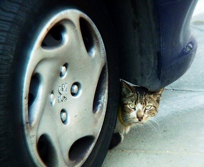 Hide and seek
