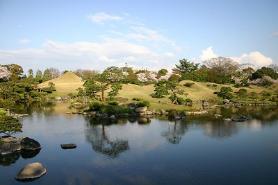 Japanese garden