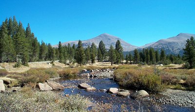 Yosemite Nat Park