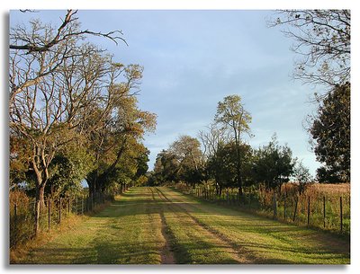 Rural Path