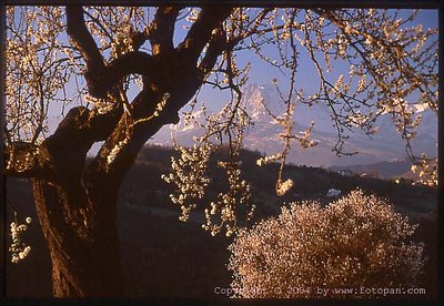 Photo art limited edition  Italian Landscape