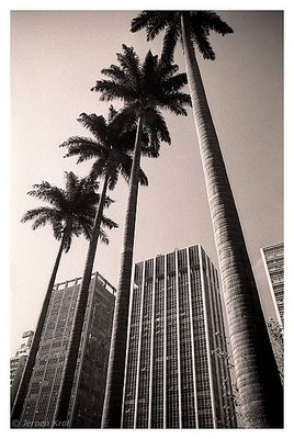 São Paulo cityscape