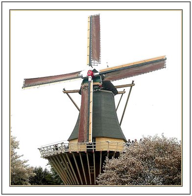 Mill in Springtime