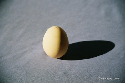 Egg!