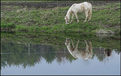  Country Reflections