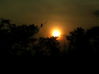 a Beautiful  sunset in the Kruger National Park