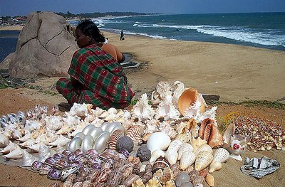 Sea, Sand and Shells