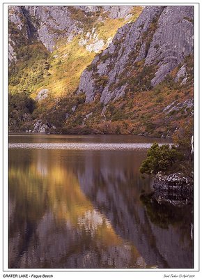 Crater Lake - Fagus