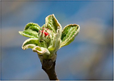 Spring 3