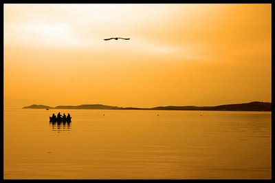 Excursion on sea