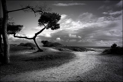 To the Beach