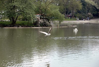 a day at the park 2