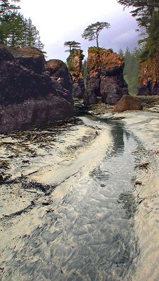 Cape Scott Sea Stacks