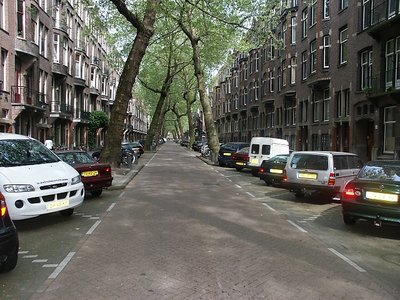 scheve bomen