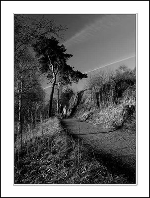 "Walking"
