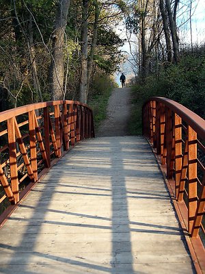 Bridge and Path