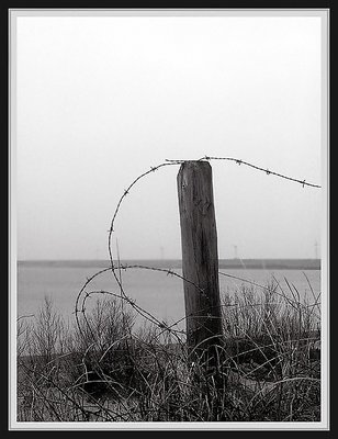 Barbed wire