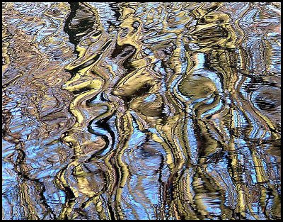 Tree reflections in lake