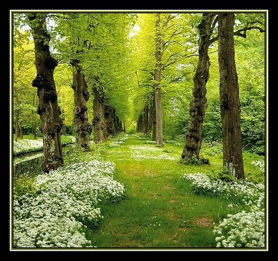 Nice Spring Colours