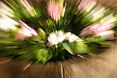 First zoom burst