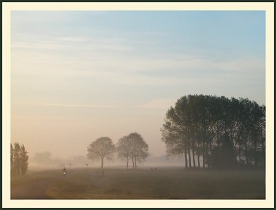 Early morning