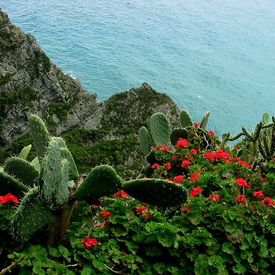 View to the sea