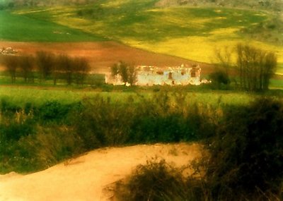 Abandoned Farm