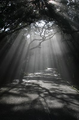 ducha de luz