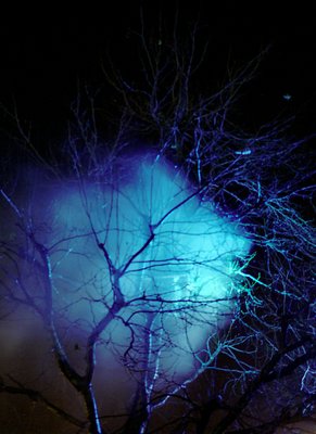 Misty night, holy night